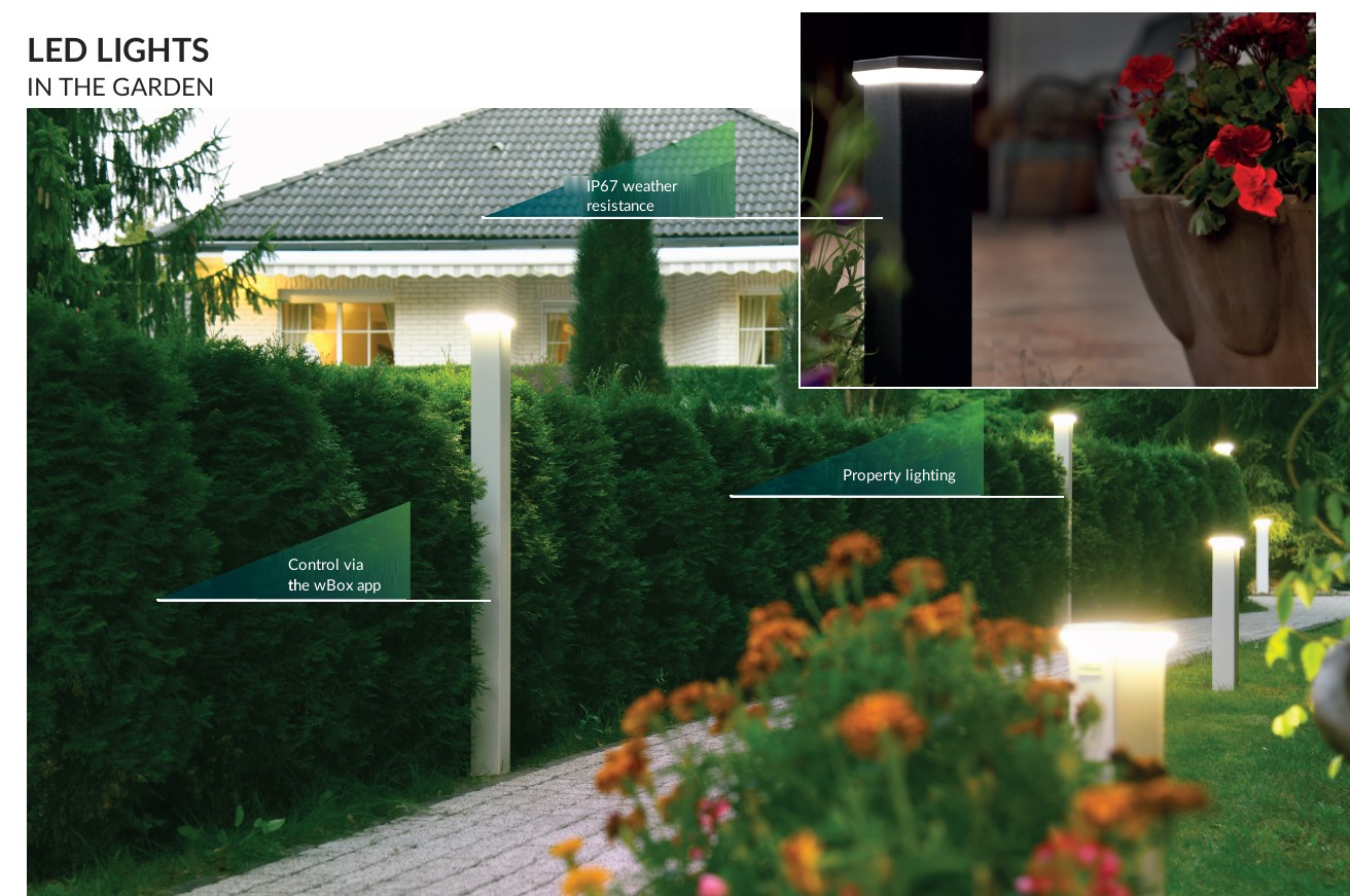 lampy2-en